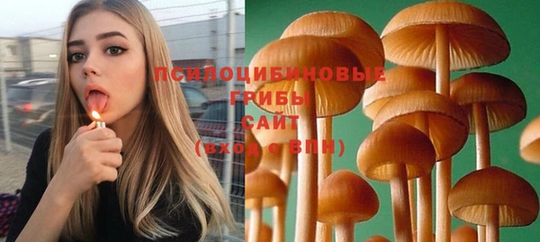 сатива Алексеевка