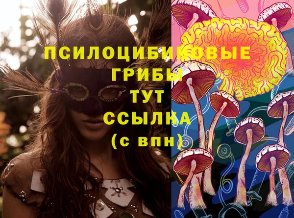 таблы Армянск