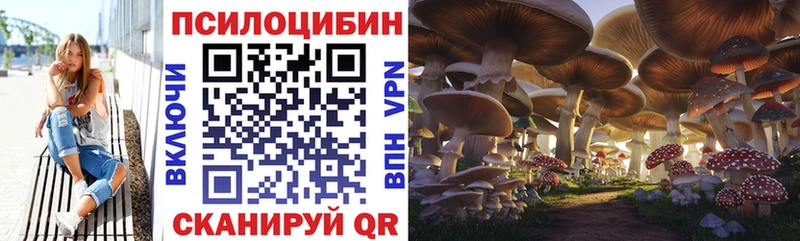 ссылка на мегу вход  Сысерть  Псилоцибиновые грибы ЛСД 